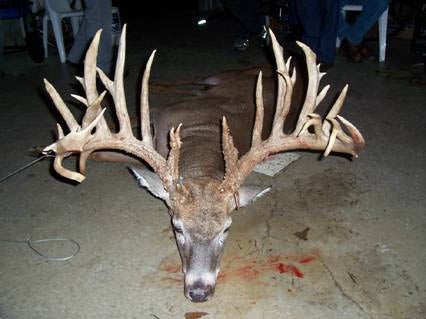 Ohio Non-Typical Buck